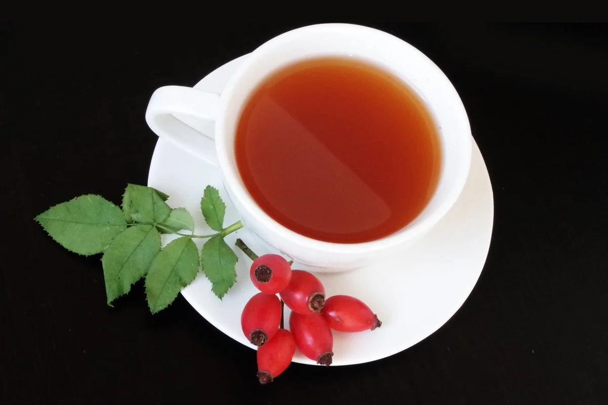 A cup of rosehip infusion beside fresh rosehips and leaves