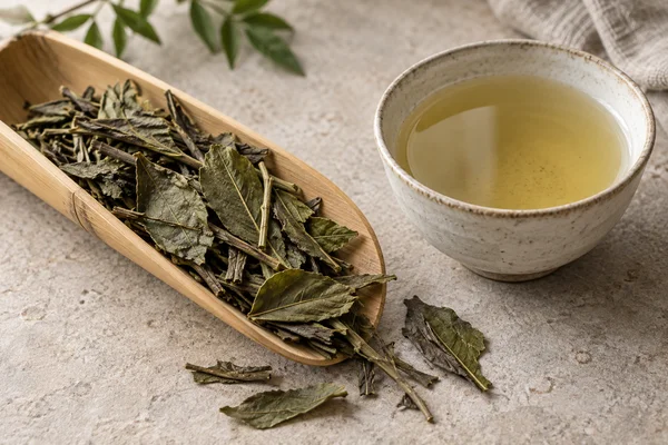 Large olive-green bancha leaves on a bamboo scoop