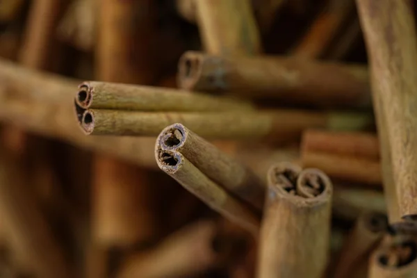 Rolled cinnamon sticks showing their bark layers