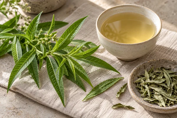 Long narrow lemon verbena leaves beside a clear golden infusion