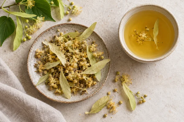 Dried linden flowers with long pale bracts beside a golden infusion