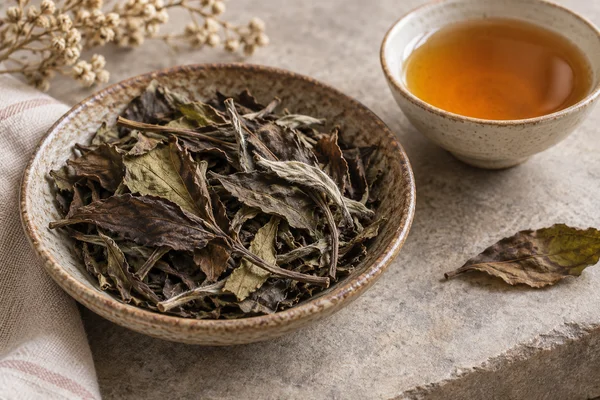 Broad bronze-brown Shou Mei leaves beside amber white tea