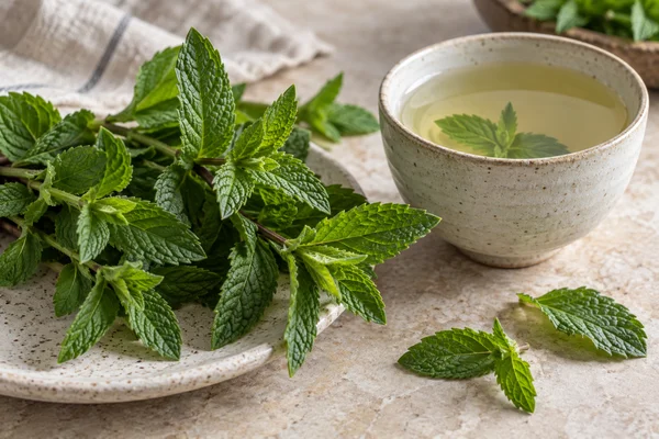 Textured spearmint leaves with a pale mint infusion