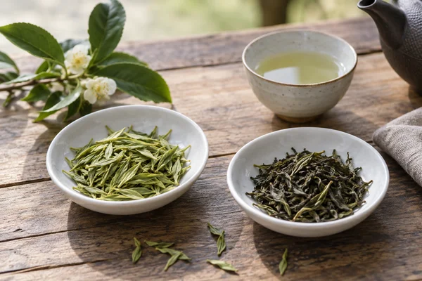 Two harvest samples in white dishes with pale green and darker olive leaves